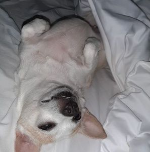 Meet your Posher, Julia